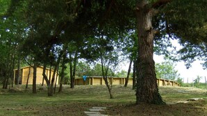 Un sentier mène à une série de constructions en bois, entourées d’arbres.