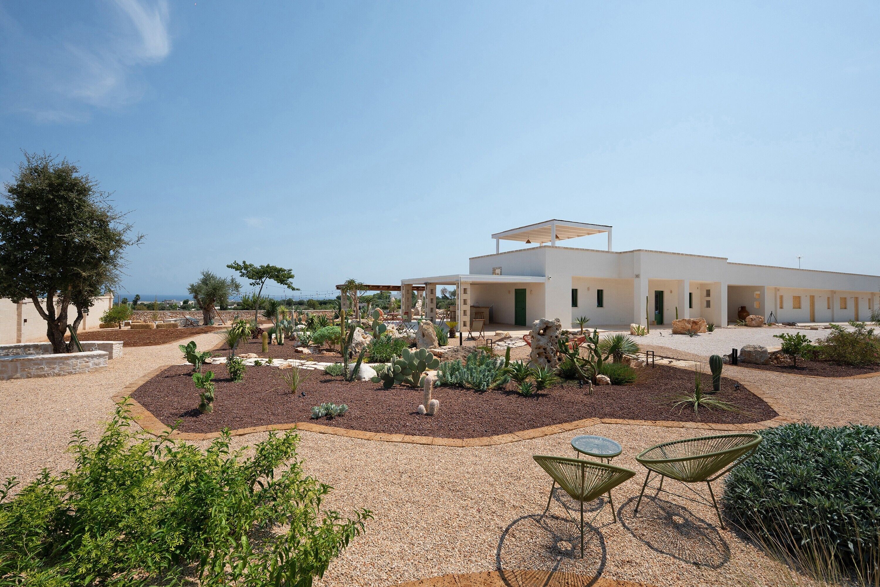 A modern building with a patio area featuring outdoor furniture and a variety of desert plants.