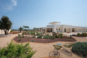 A modern building with a patio area featuring outdoor furniture and a variety of desert plants.