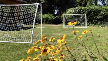 Two soccer goals on a grassy field with yellow flowers in the foreground.