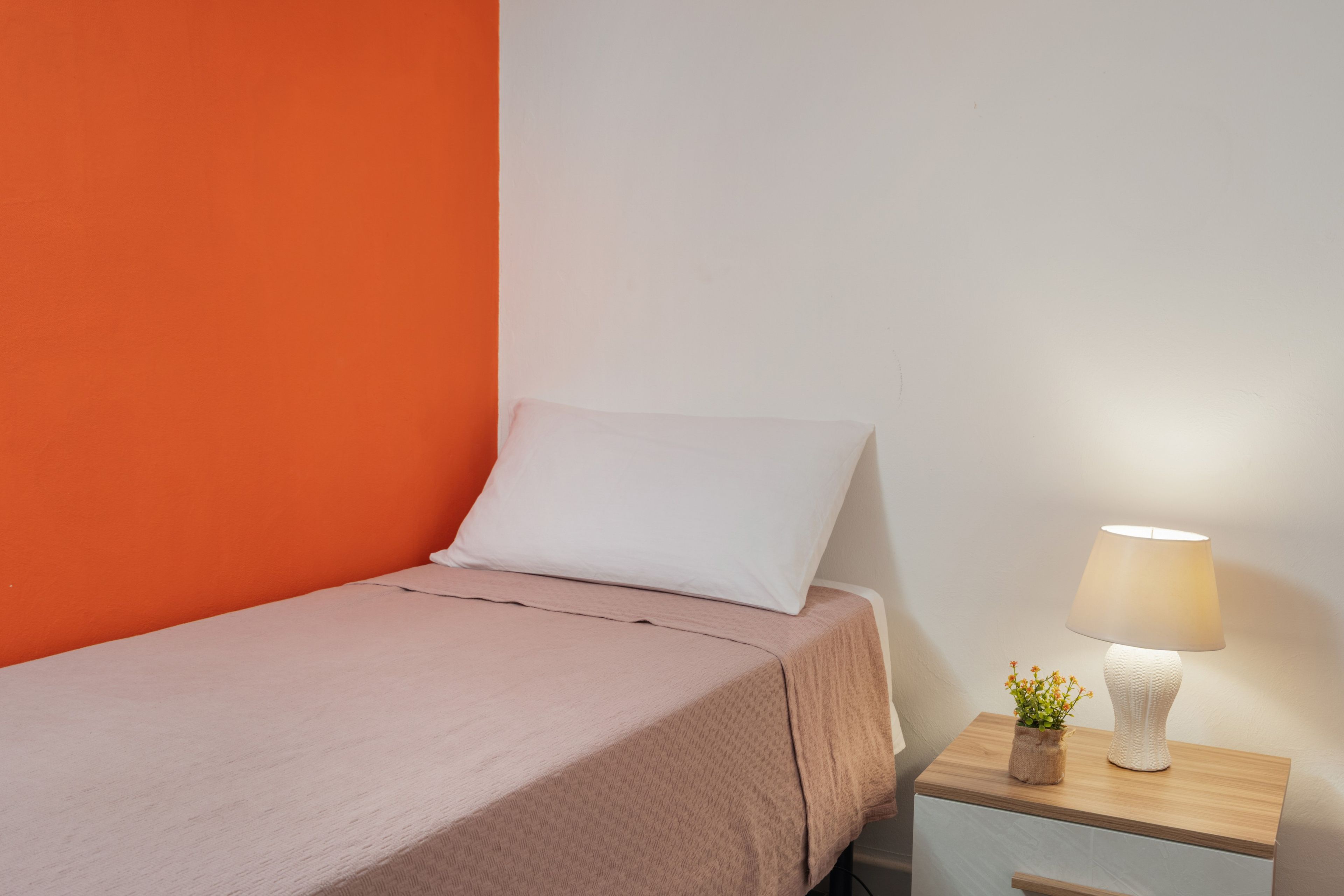 A single bed with a white pillow and a beige blanket, a bedside table with a lamp, and a small potted plant.