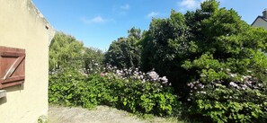 Ein Garten mit dichtem Grün und blühenden Pflanzen.