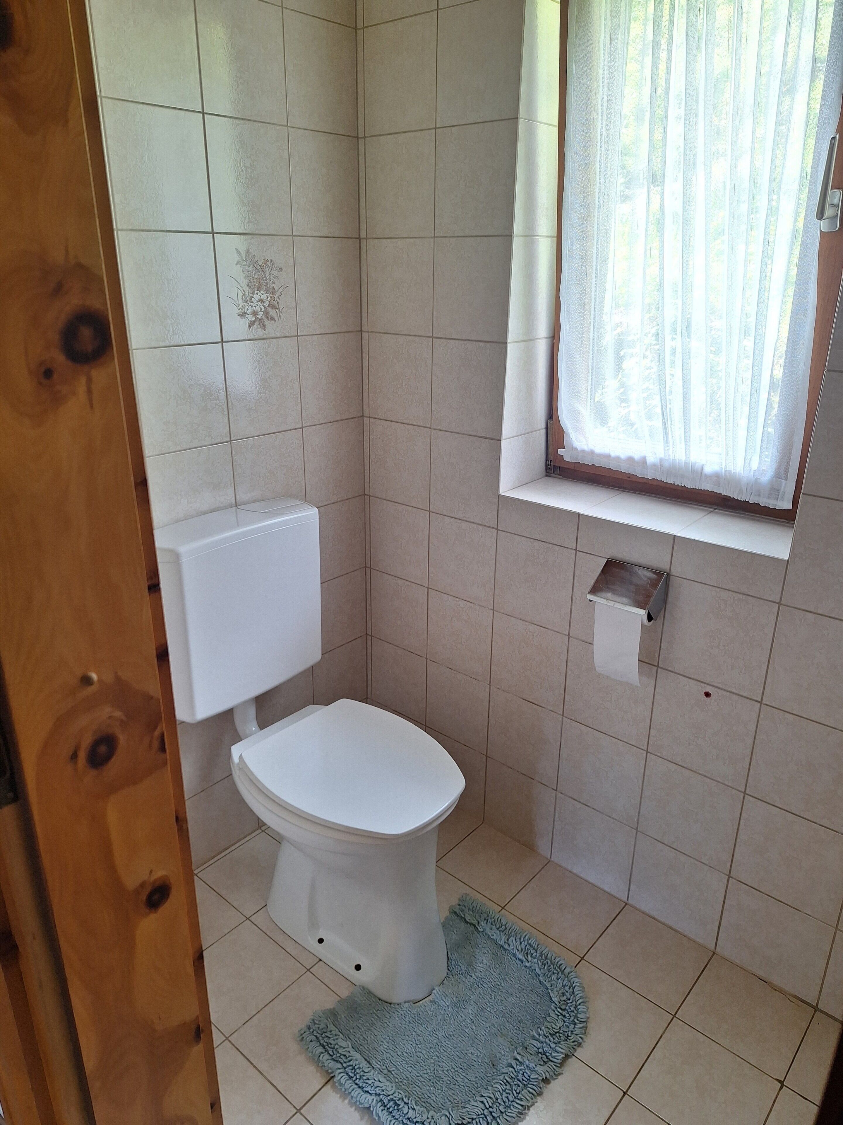 Un baño pequeño con un inodoro, una ventana con cortina y una alfombra azul en el suelo.