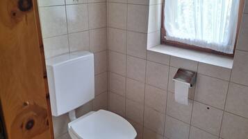 Un baño pequeño con un inodoro, una ventana con cortina y una alfombra azul en el suelo.