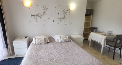 Studio "Les Iris - Hortensia" with Shared Terrace, Garden, and Wi-Fi