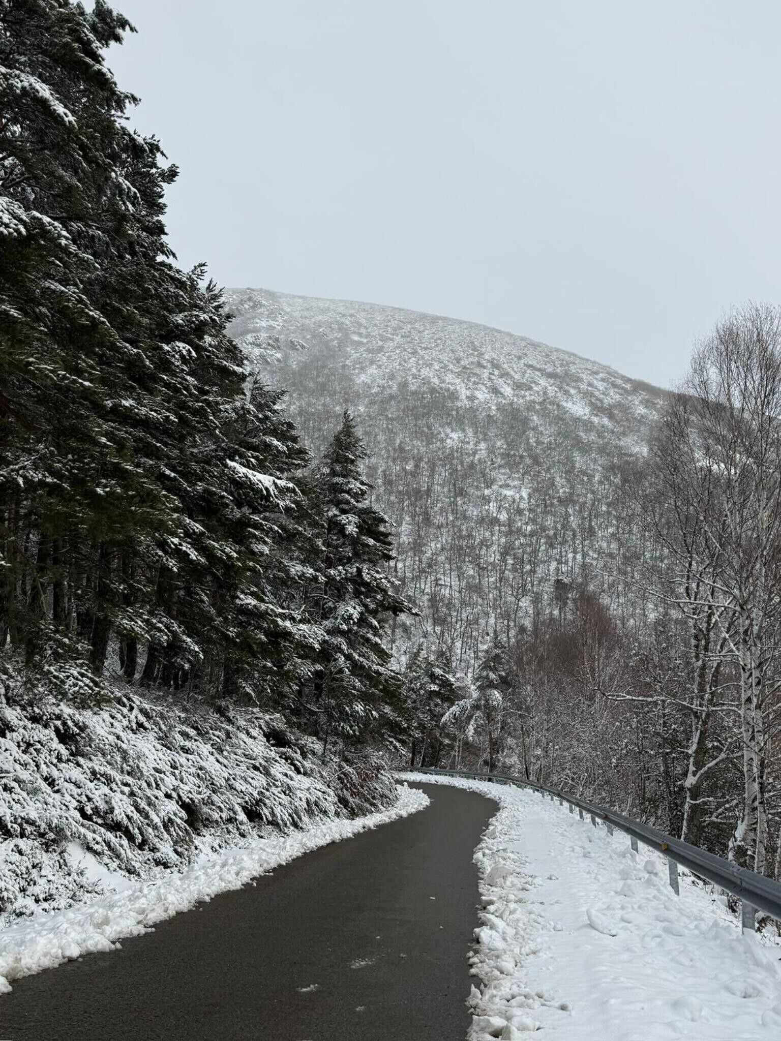 Carretera coberta de neu amb una barana de seguretat, rodejada d'arbres i una muntanya al fons.