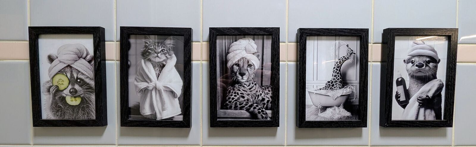 A series of framed black and white photographs on a wall.
