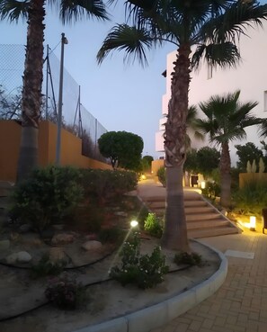 A landscaped area with palm trees, a paved walkway, and a building in the background.