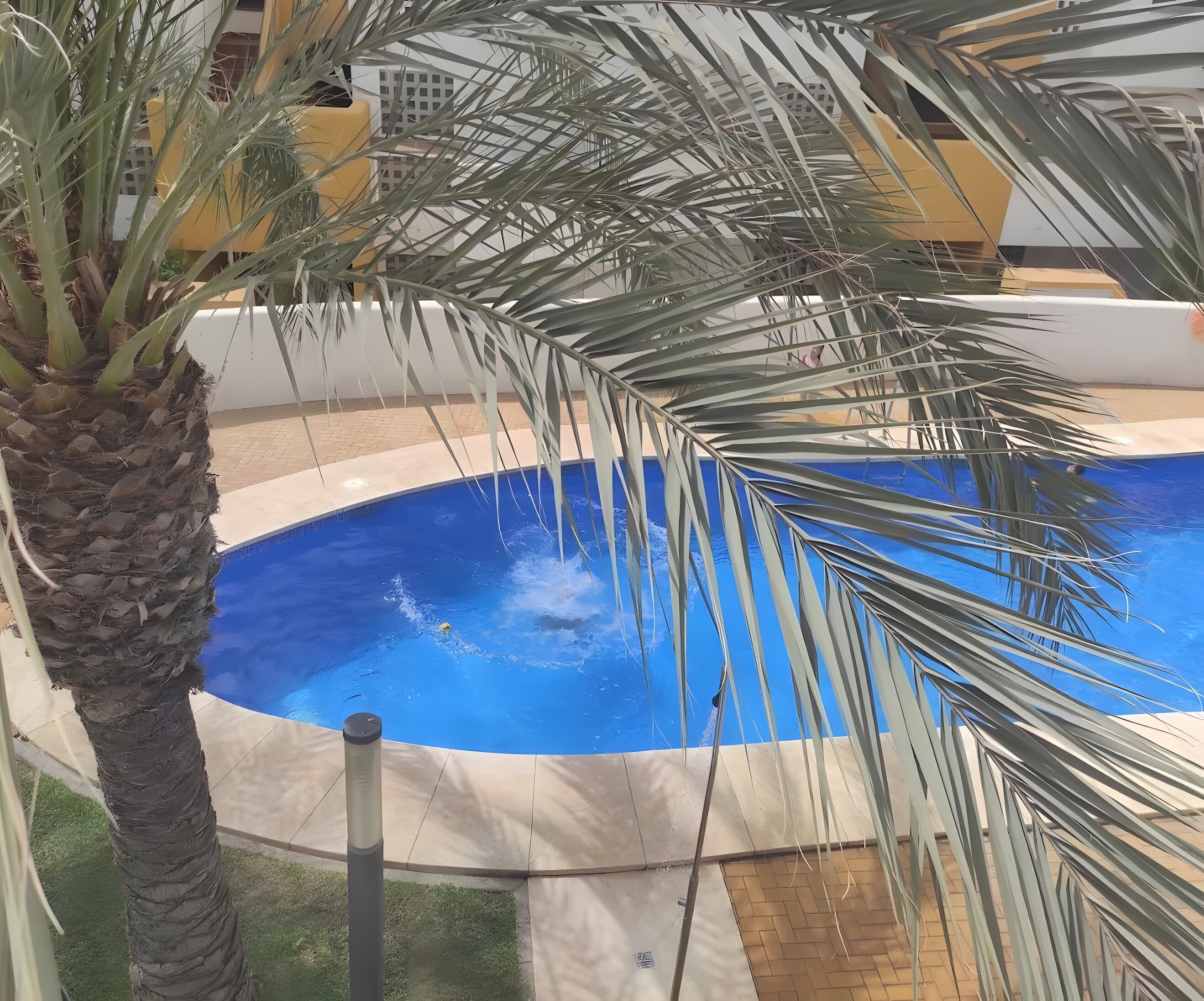 Piscina rodeada de palmeras y un edificio de fachada amarilla.