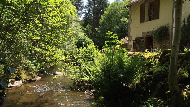 A rustic building adjacent to a flowing stream, surrounded by dense greenery. - Cottage "Le Moulin de Laval" with Private Terrace, Wi-Fi, and Air Conditioning (Saint-Priest-des-Champs)