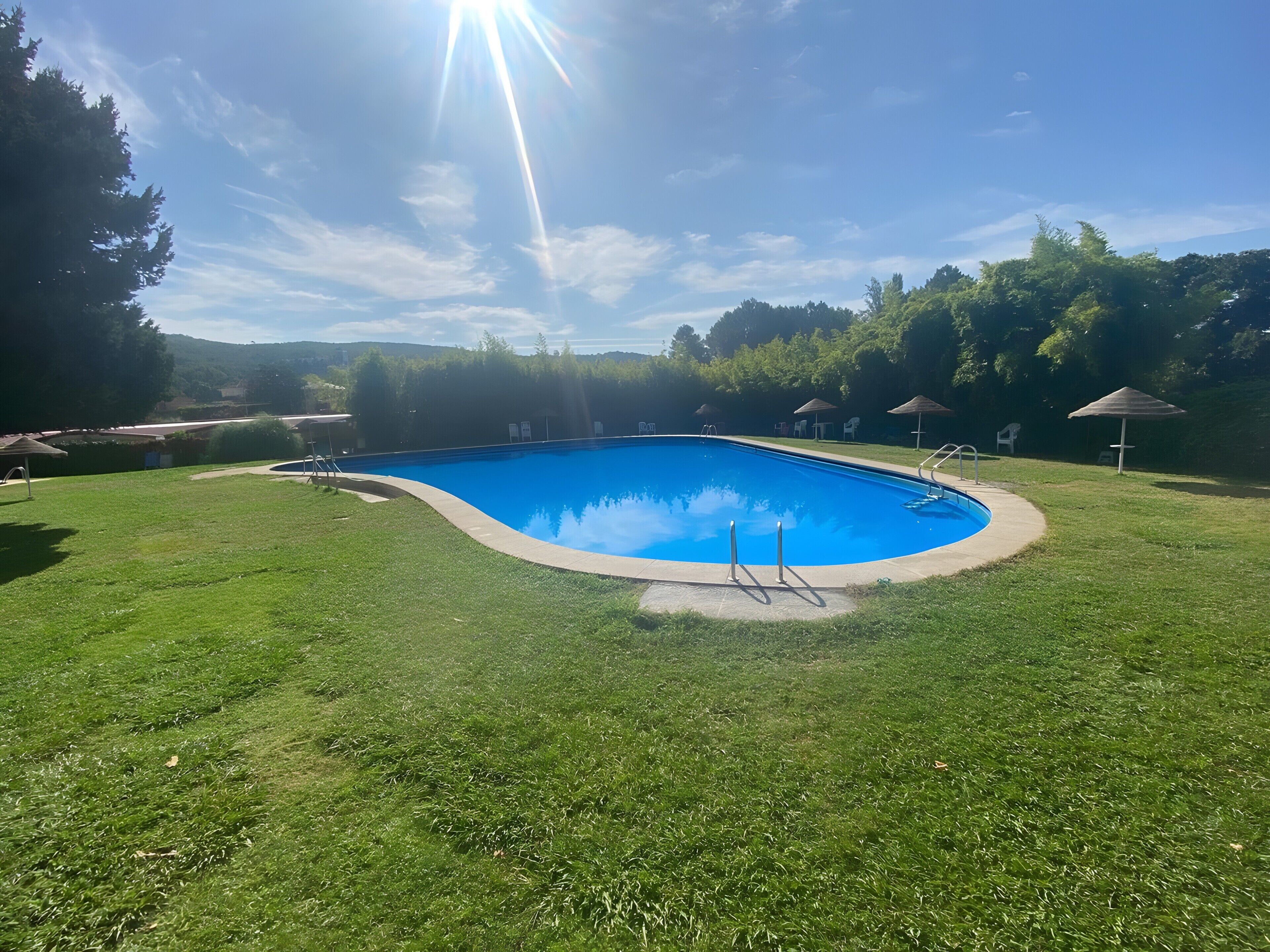 A swimming pool with a clear blue water surface, surrounded by a well-maintained grassy area and trees.
