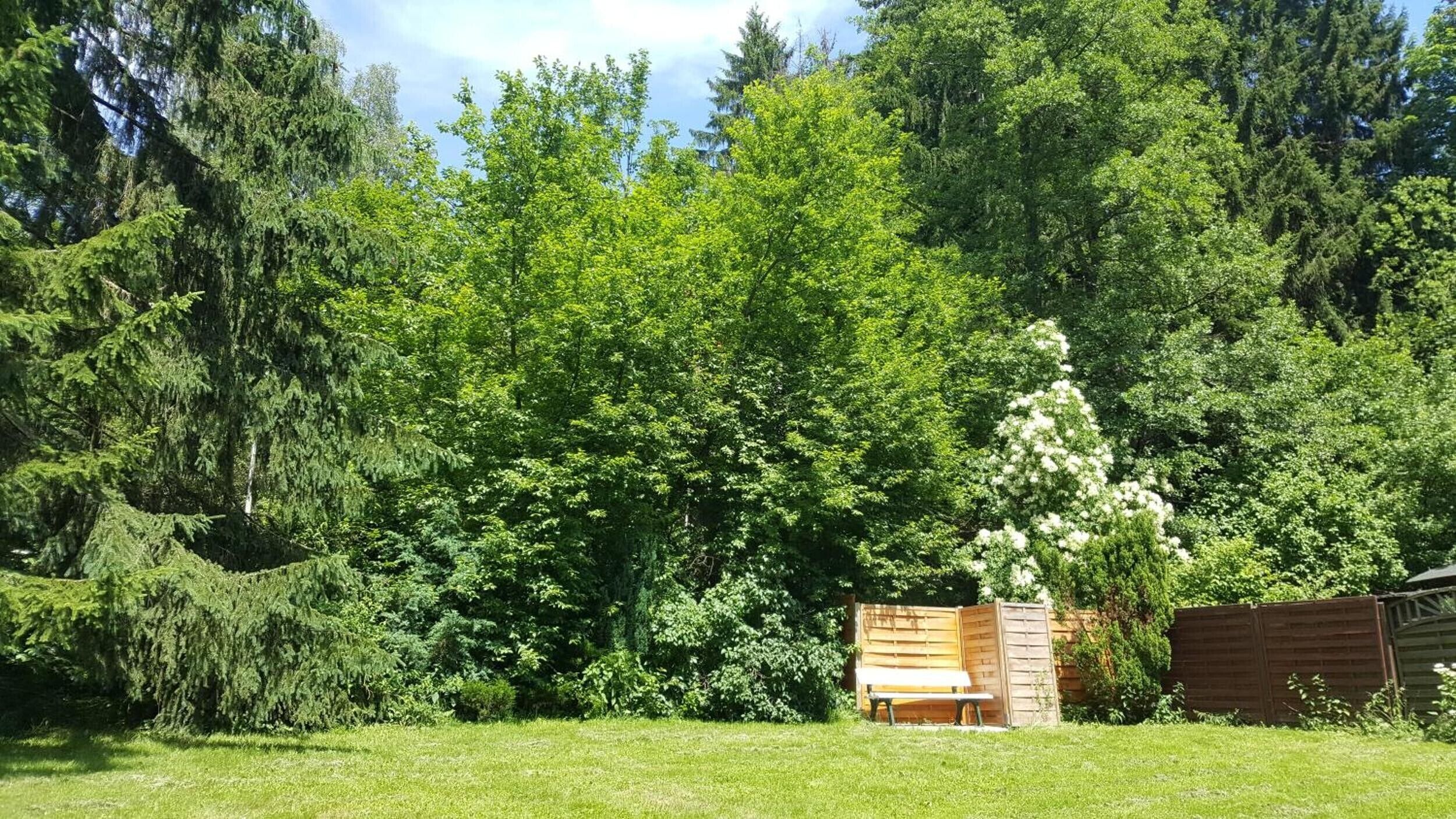 Ulkoalueet