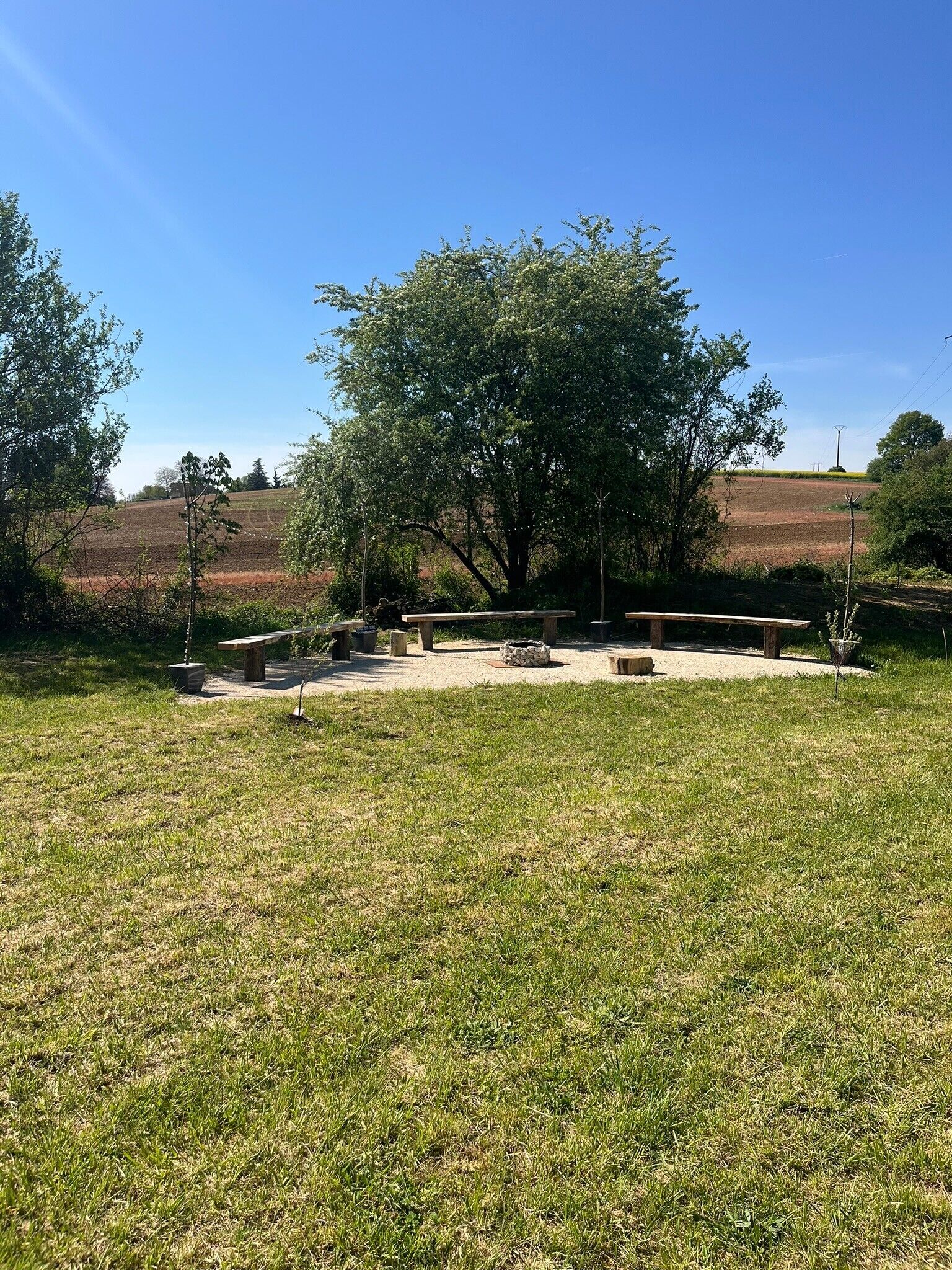 Een terras met banken en tafels, omgeven door gras en bomen.