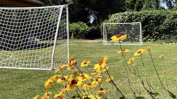 Un terrain de football avec deux buts et des fleurs jaunes au premier plan.