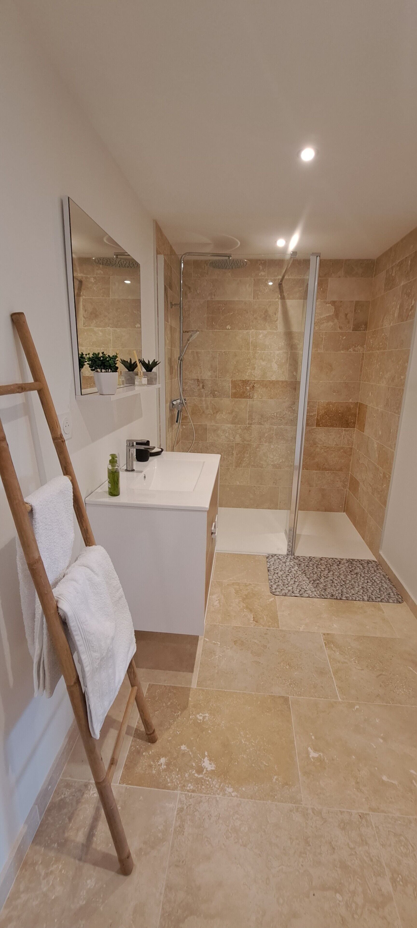 Une salle de bain avec une douche, un lavabo et un miroir.