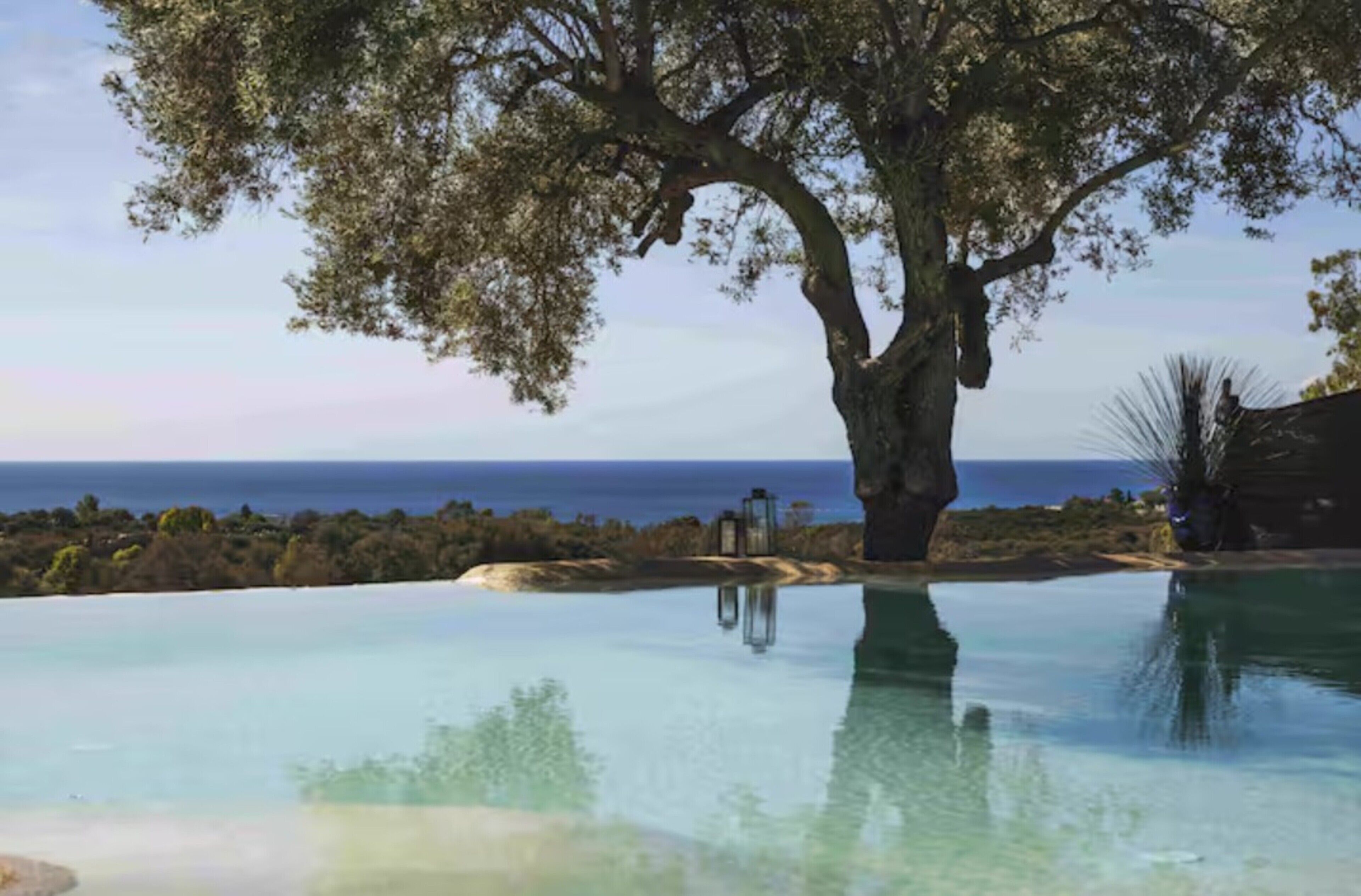 Une piscine à débordement bordée d’arbres, offrant une vue sur l’océan.