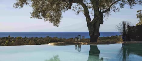 A tree-lined infinity pool with a view of the ocean.