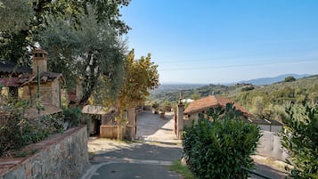 A rural pathway leading to a traditional stone house with a tiled roof, surrounded by olive trees and a view of distant hills.