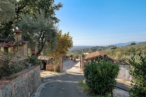 A rural pathway leading to a traditional stone house with a tiled roof, surrounded by olive trees and a view of distant hills. - Podere del Convento – House with Garden and Tuscan Views (Massa e Cozzile)
