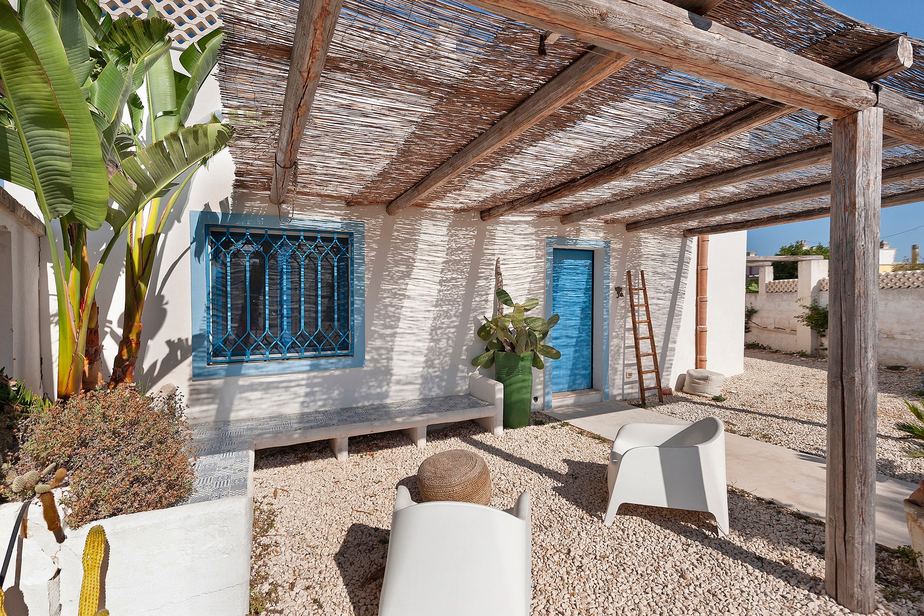 Ein überdachter Außenbereich mit einer Pergola, einer weißen Wand mit blauen Türen und einer Kakteenpflanze.