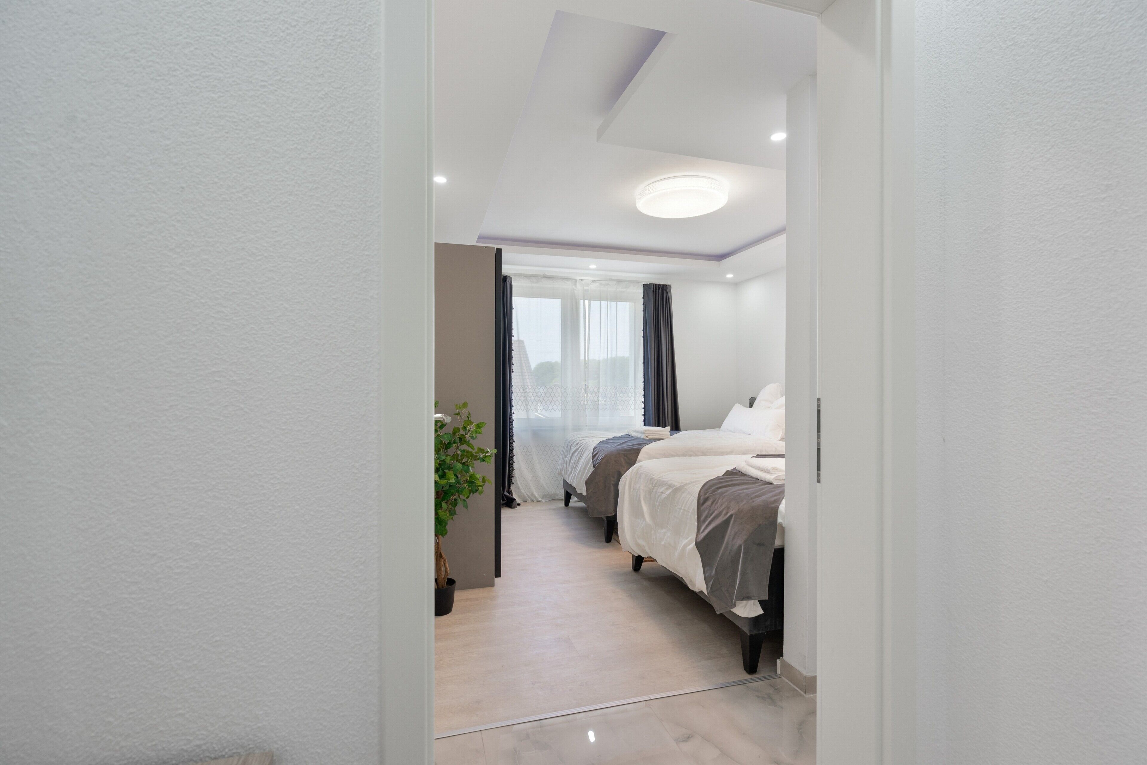 A narrow hallway leading to a bedroom with two beds, a ceiling light, and a potted plant.