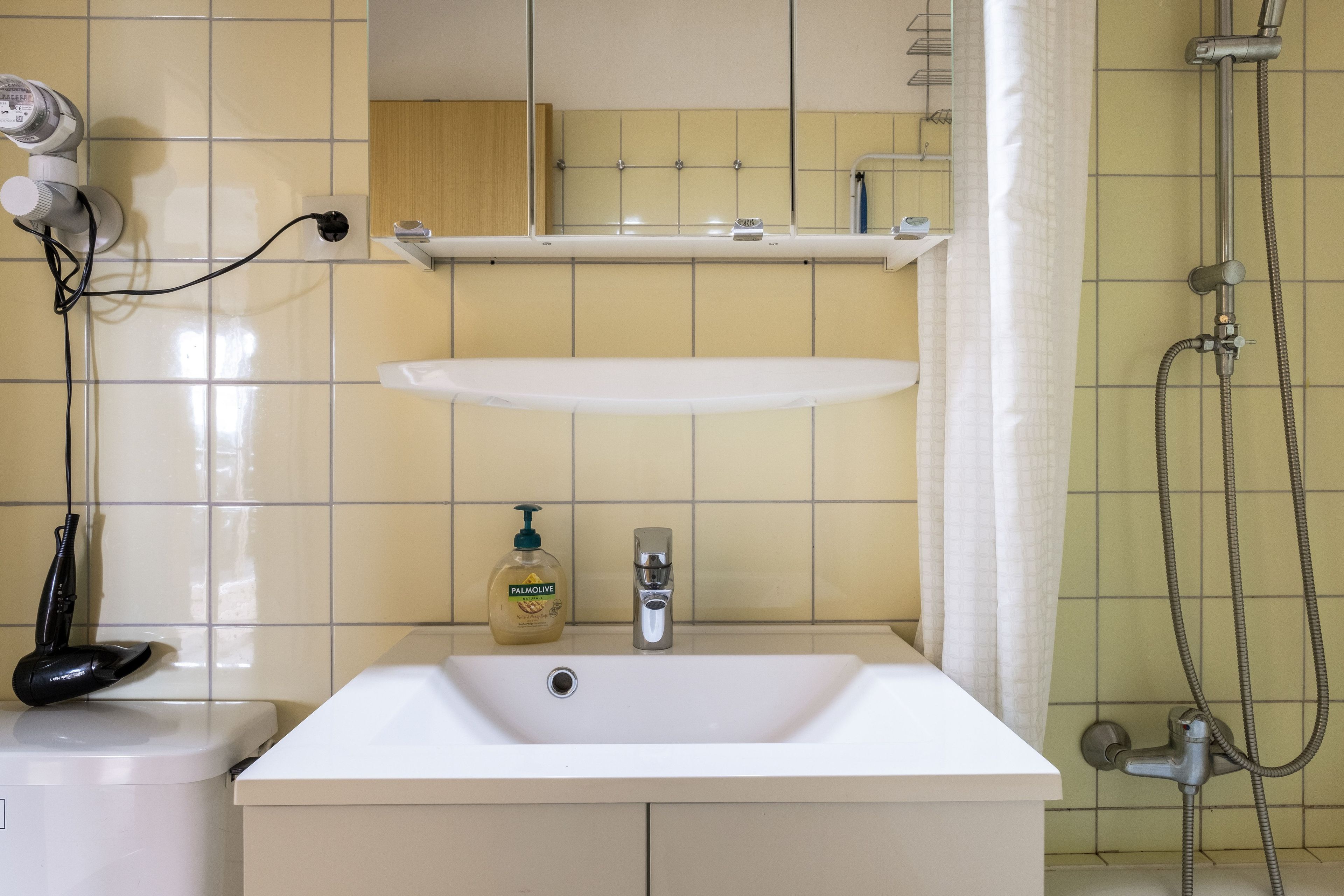 A bathroom with a white sink, a handheld showerhead, and a bottle of Palmolive soap.