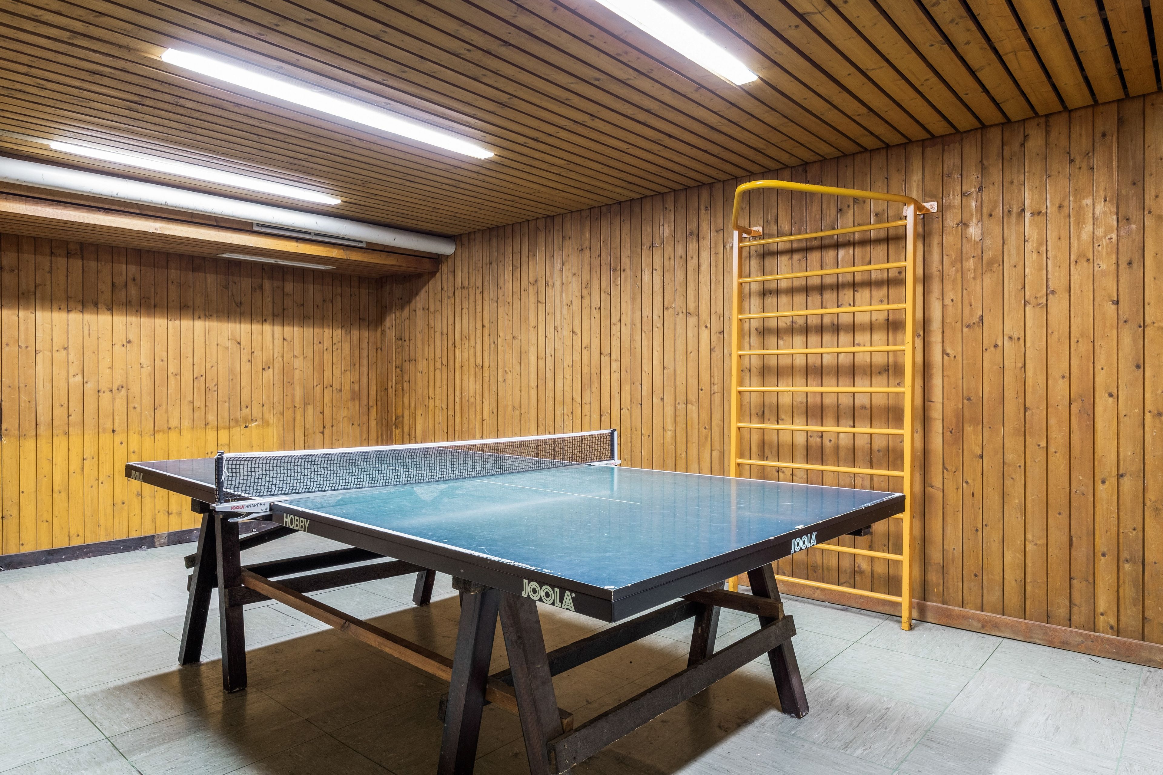 A ping pong table in a room with wooden walls and a yellow ladder.