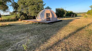A dome-shaped structure with a transparent roof, situated on a grassy field with trees in the background.
