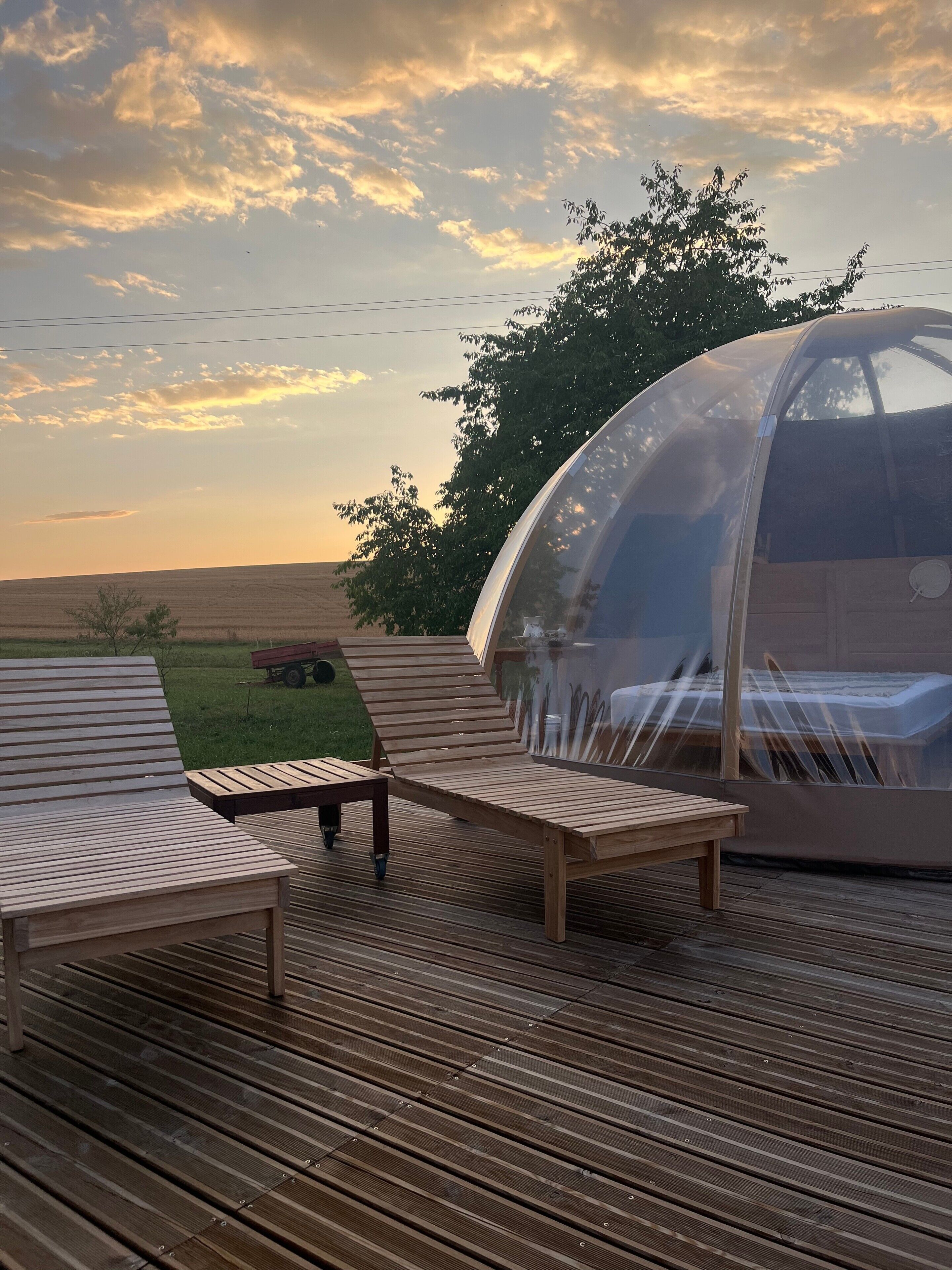 Une structure en forme de dôme transparent, dotée d’une terrasse en bois et de chaises longues.