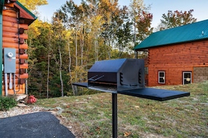 Eine Holzhütte mit einem Metall-Dach, einem Grill auf einem Tisch im Freien und einem bewaldeten Hintergrund.