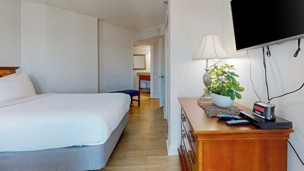 Ein Hotelzimmer mit einem Bett, einem Schreibtisch mit Lampe, einem Fernseher und einer Pflanze.