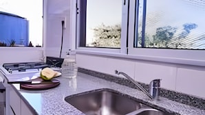 Fridge, oven, cookware/dishes/utensils