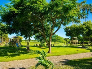 Ein Spielplatz mit Schaukeln und Rutschen, umgeben von Bäumen und Gras.