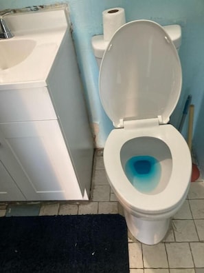 A bathroom with a toilet, sink, and a black rug on the floor.