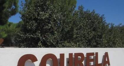 A welcoming experience set among gardens, a pool, and the Alentejo countryside