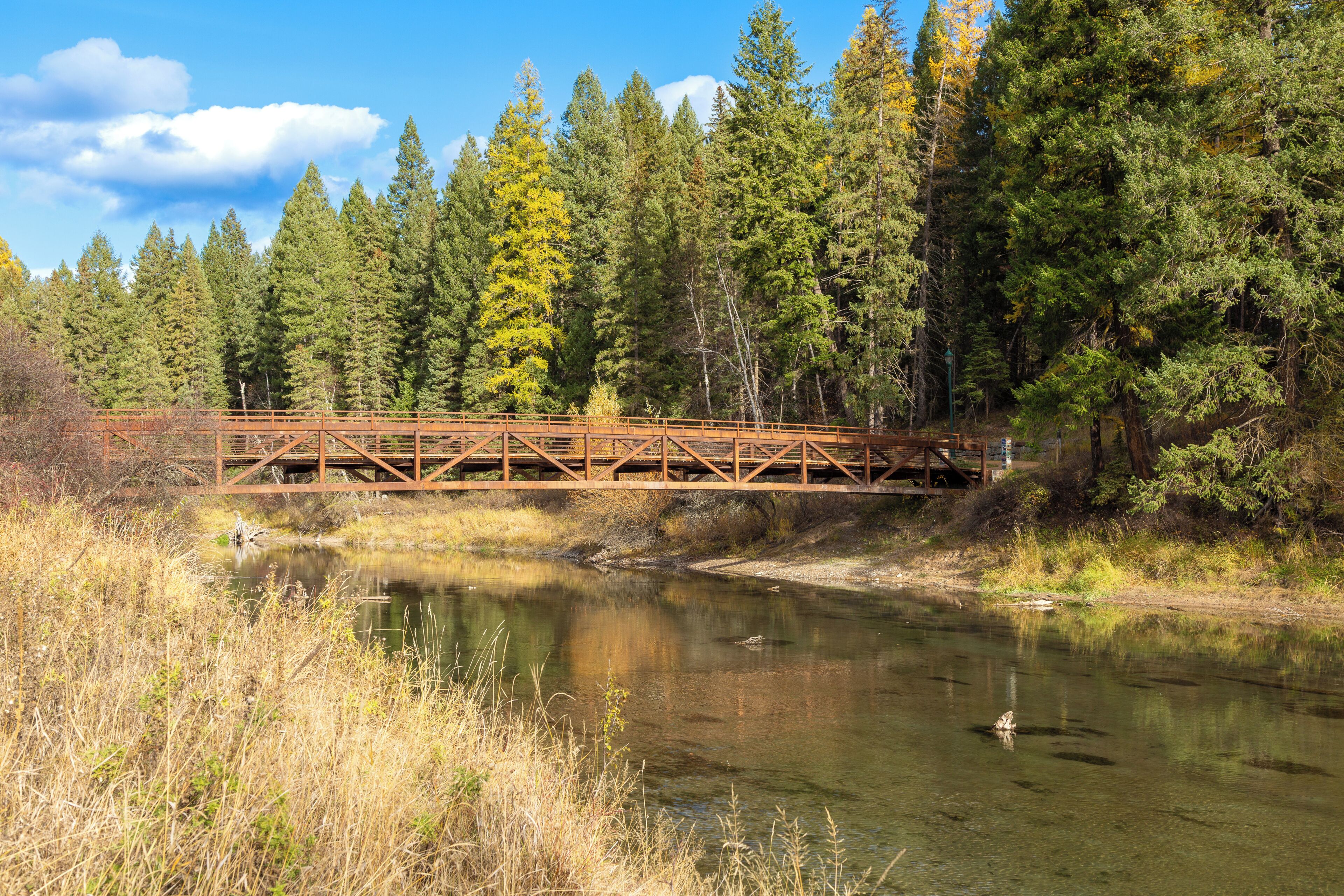 Eine Holzbrücke über einem ruhigen Fluss, umgeben von dichtem Wald und blauem Himmel.