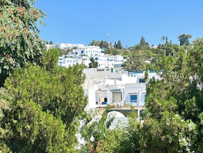A hillside of white buildings with blue accents, surrounded by greenery. - Appartement Rayhana Sidi Bou Said (Sidi Bou Said)