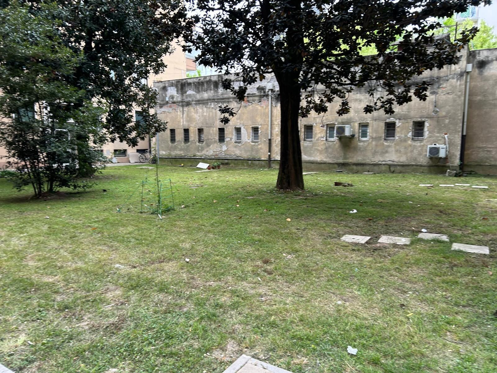 A courtyard with a tree, a grassy area, and a building with multiple windows and an air conditioning unit.