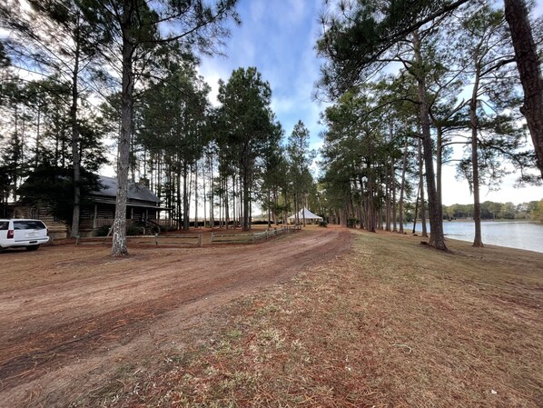 A cabin with a dirt path leading to a lake, surrounded by tall pine trees.