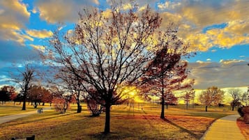 Miscellaneous