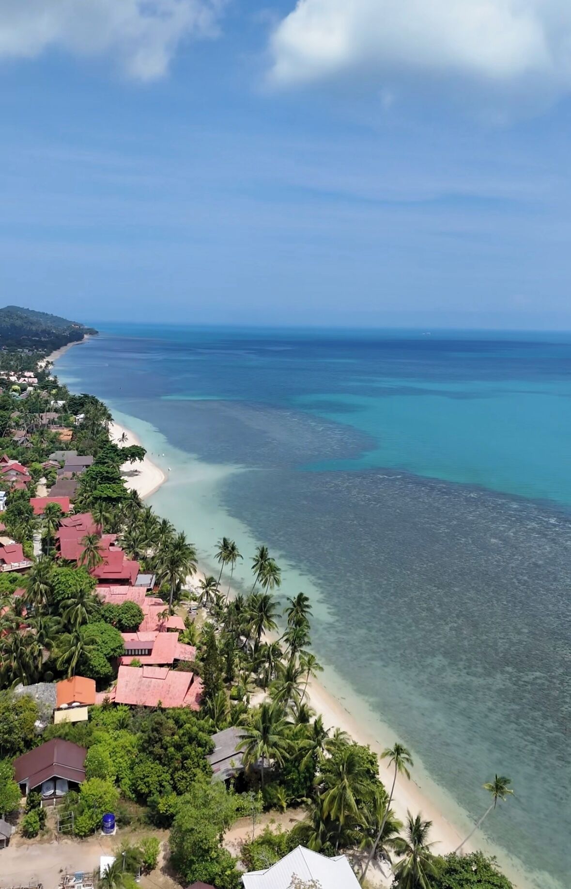 Une zone côtière avec une plage, des maisons et des palmiers.