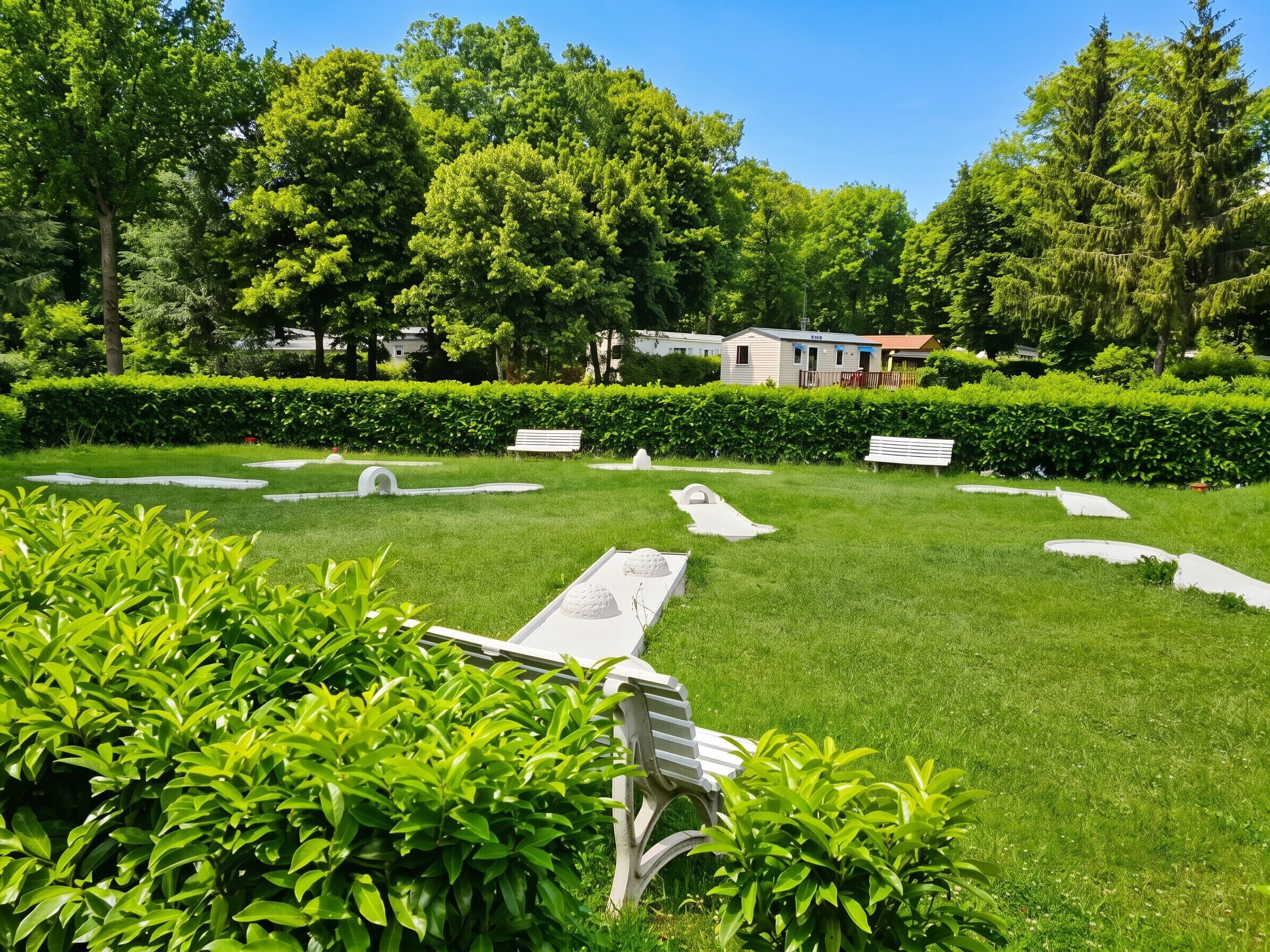 Jardin