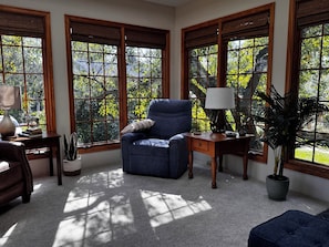 Smart TV, fireplace, books