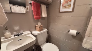 Shower, hair dryer, towels, soap - The Gilliat House: Historic Duluth Charm, 30+ Day Stay (Duluth)