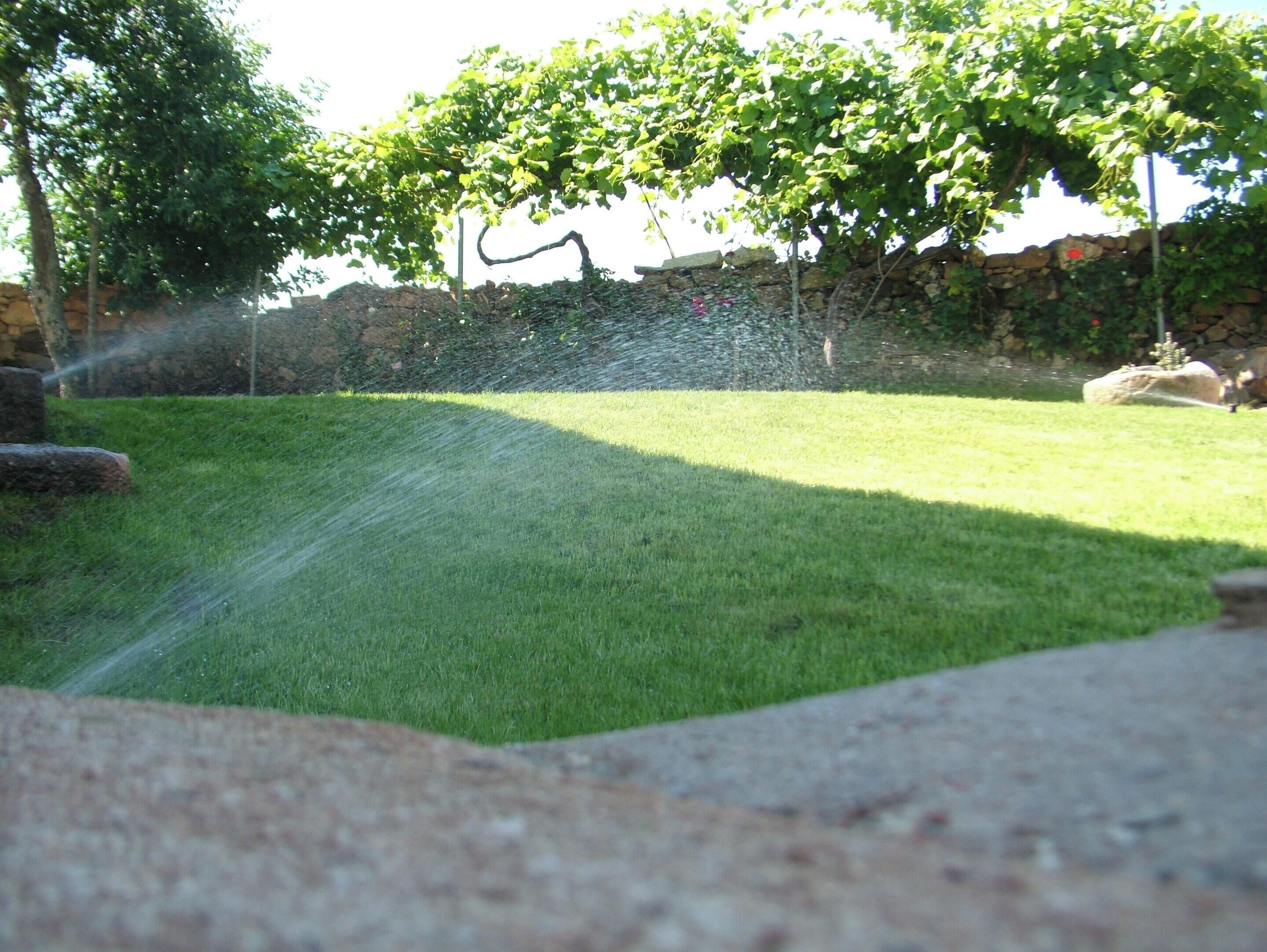 Jardin