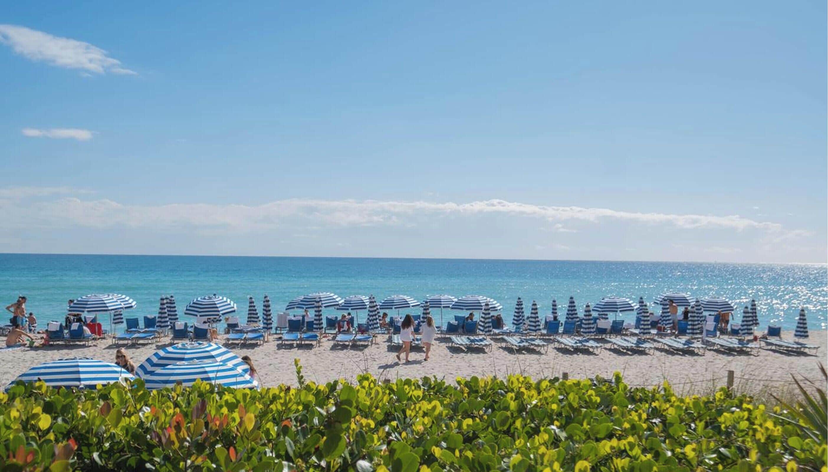 A beach with rows of sun loungers and striped umbrellas, a clear sky, and calm sea.