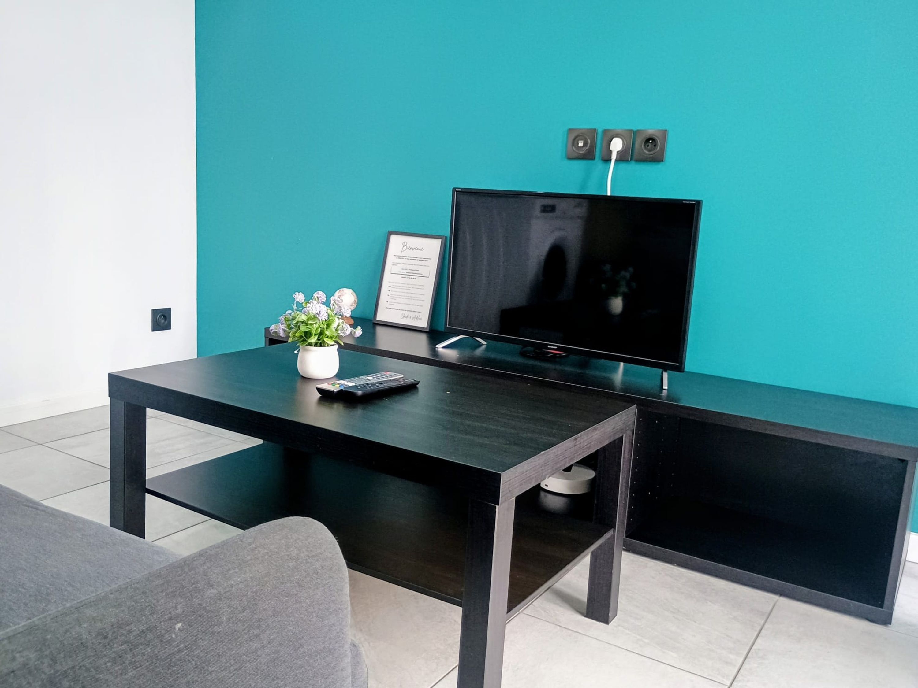 A modern living room with a flat-screen TV, a coffee table, a potted plant, and a framed certificate on the wall.