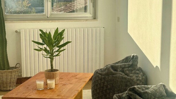 A room with a wooden table, two bean bags, a potted plant, and a view through a window. - Moelda Home | Milan-Malpensa MXP 15′ Milan-Fiera (legnano)