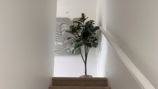 Een bekleed trappenhuis met een plant bovenin.