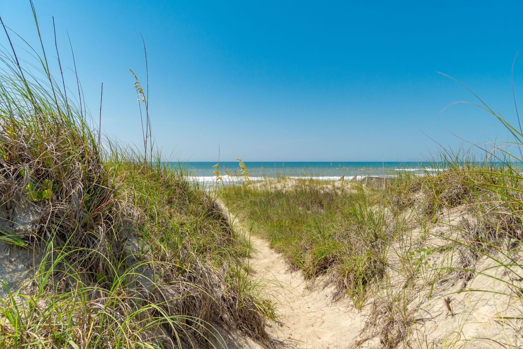 A sandy path leading to a beach with clear skies.